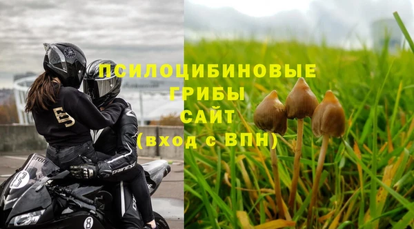 спайс Белокуриха