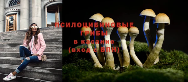 прущая мука Белоозёрский