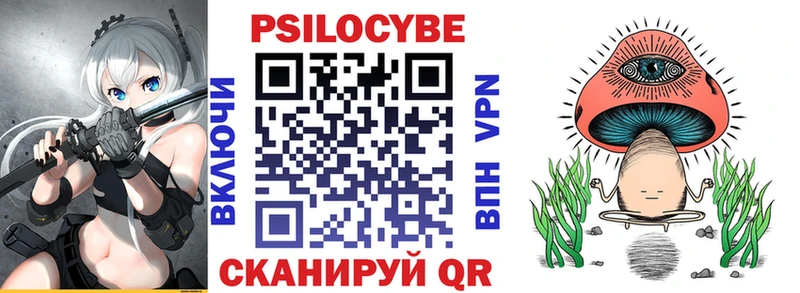 Купить где  Спас-Деменск  Галлюциногенные грибы Cubensis 